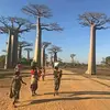 Jallow 🇬🇲 - @saikou.jallow1 - TikTok