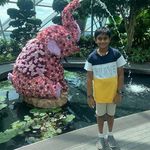 Sailesh Menon - @saileshmenon2.0 - Instagram
