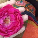 Saima Ajmal - @saimaajmal1981 - Instagram