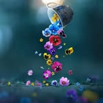 Saima Atif - @saima.atif.5851 - Instagram