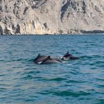 Saima Durrani - @durrani.saima - Instagram
