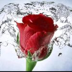 Saima Kanwal - @saima.kanwal.90834 - Instagram