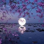 Saima Kanwal - @saima.kanwal.75 - Instagram