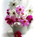Saima Naz - Facebook