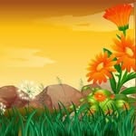 Saima Qamar - @saima.qamar.5473 - Instagram