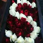 Saima Qamar - @saimqamar375 - Instagram