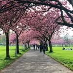 Saima Rafi - @saima_rafi - Instagram