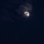 Saima Rafi - Facebook