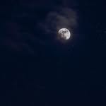 Saima Rafi - @dr_rafii54 - Instagram