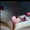 Saima Rafi - @saima.rafi0 - TikTok