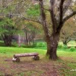 Saima Rafi - @saimarafi12 - Instagram