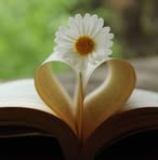 Saima Rafi - Facebook