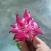 saimarafi207 - @saimarafi8 - TikTok