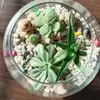 Saima salahuddin Salahuddin - @saima.salahuddin - TikTok