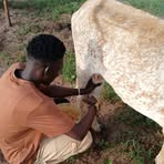 Sainey Jallow - Facebook