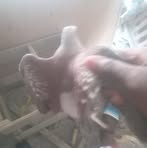 Sainey Jallow - Facebook
