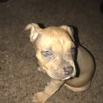 Saint Davis Jones - @saintj._ - Instagram