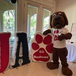 Saint Joseph Academy - @sjabloodhounds - Instagram