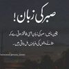 saira.altaf46 - @saira.altaf46 - TikTok