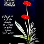 saira bhatti - @sairabhatti336 - Instagram