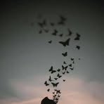 Saira Roy - Facebook
