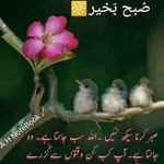 Saira Rubab - @sairarubab123 - Instagram