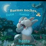 saira torres - @sairatorres39 - Instagram