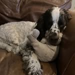 Sasha Beecham - @sash.347 - Instagram