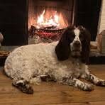Sasha Beecham - Facebook