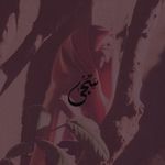 Saja Abbas - @saja.abbas - Instagram