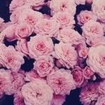 Saja Abdullah - @saja_abdullah8 - Instagram