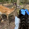 SAJA||🦌🪞 - @sajaabdullah22 - TikTok