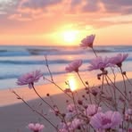 Saja Mohamed - Facebook