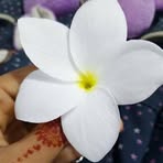 Sajal Kumar - Facebook