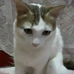 Sajan Eapen - @sajan.eapen.92 - Instagram