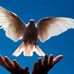 Saji Johnson - Facebook