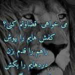 ساجی محمدی - @sajimohammadi6 - Instagram