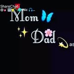 saji__mohammad__789 - @saji__mohammad__789 - Instagram