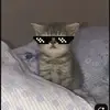 ♡ Sᴀᴊɪᴅ :)🦋🎀 - @sajid__ahmed31 - TikTok