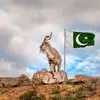 🥇Sajid Aslam 🇶🇦 🇵🇰🇶🇦 - @sajisagittarius - TikTok