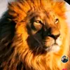 Sajid⛎ - @sajid.bhatti233 - TikTok