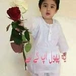 Sajida Abbasi - @bibisajida4 - Instagram