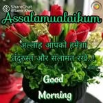 Sajida Abbasi - @sajidaabbasi80 - Instagram