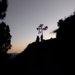 Sajida Abbasi - @sajidaabbasi49 - Instagram