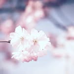 Sajida Abbasi - @sajidaiabbasi - Instagram