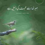 Sajida Ansari - Facebook