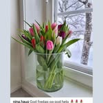 Sajida Ashraf - @sajidaashraf58 - Instagram