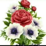 Sajida Ashraf - @sajida.ashraf.9 - Instagram