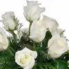 Sajida Ashraf - @sajida.ashraf3 - TikTok