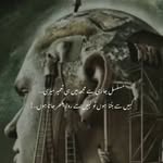 Sajida Bano - @sajidabano1979 - Instagram